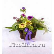 Корзина из ранункулисов и орхидей