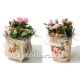 Композиция из роз, каланхоэ и декоративного материала в вазочке или ведерке